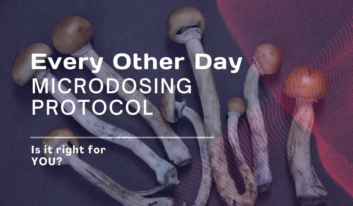 every other day microdosing protocol