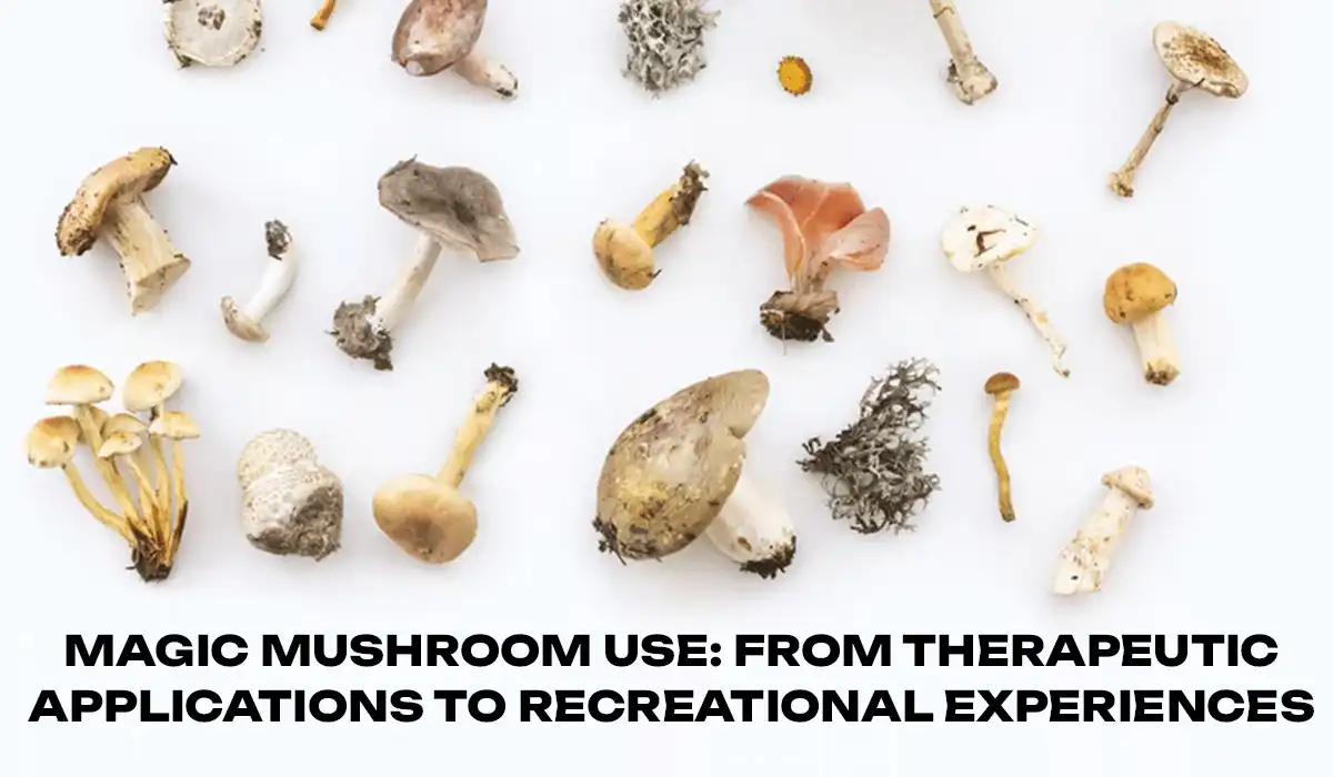Magic mushroom use: From therapeutic applications to recreational experiences