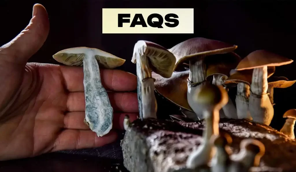 FAQs