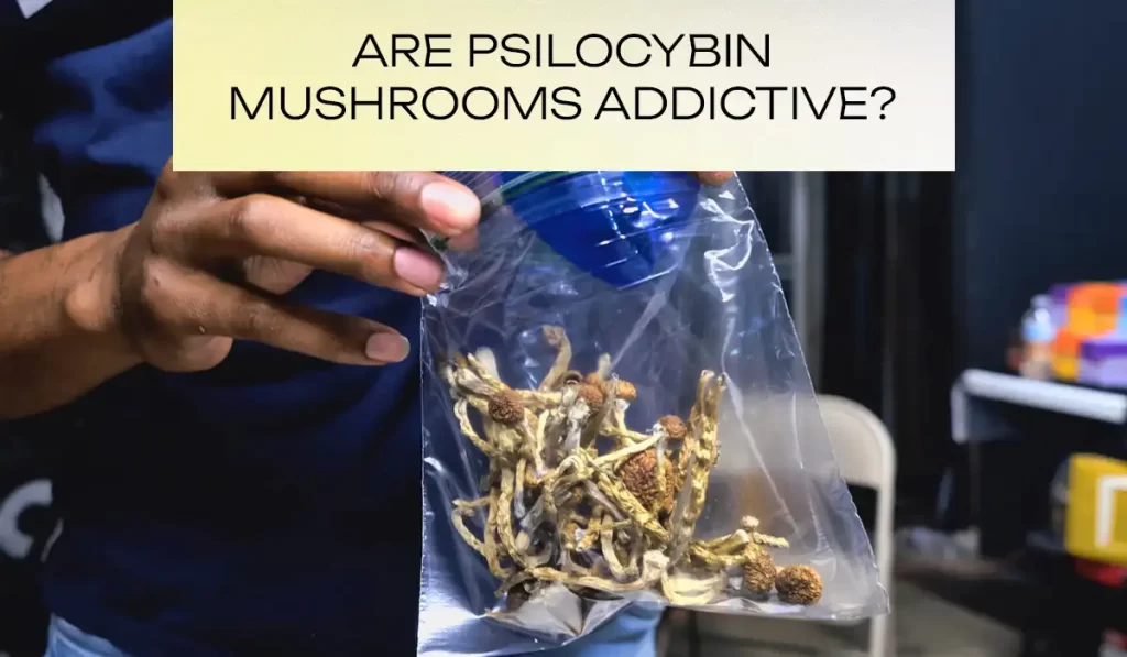 Are Psilocybin mushrooms addictive