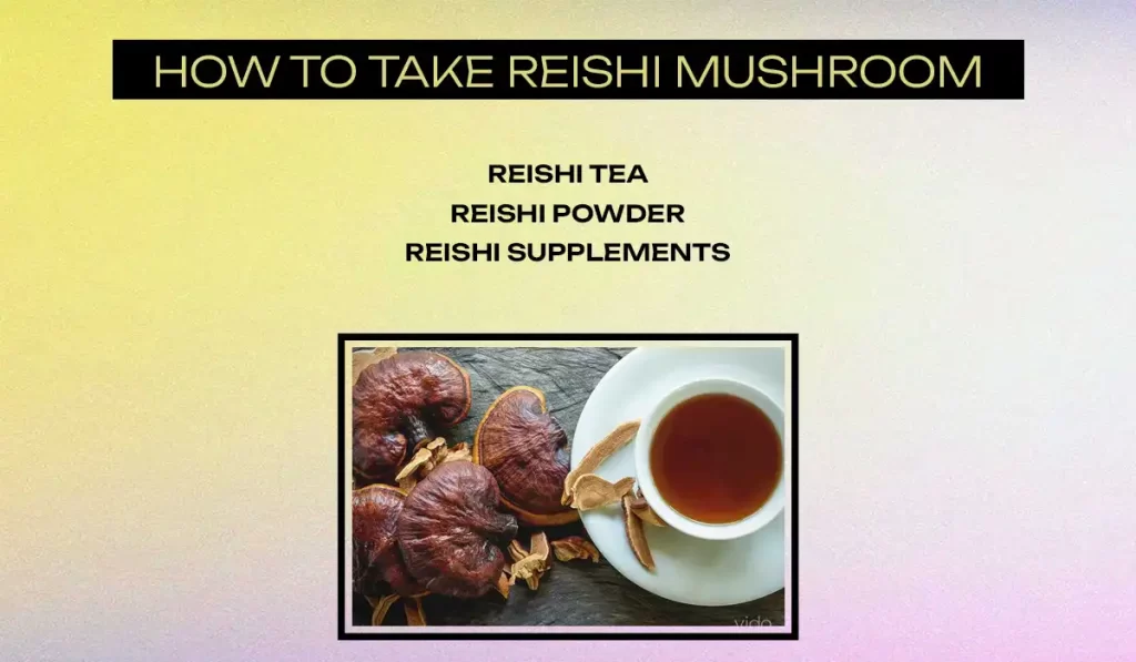 How to take Reishi mushroom