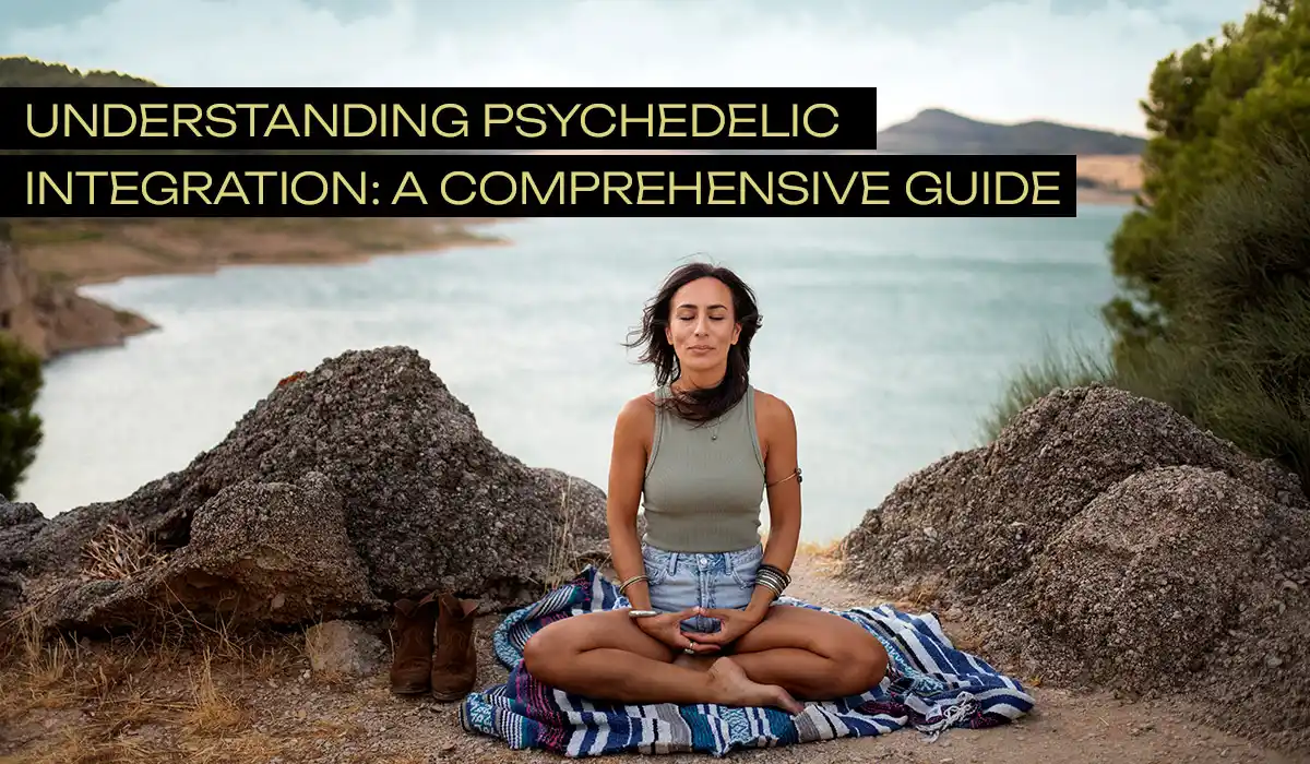 Understanding Psychedelic integration a comprehensive guide
