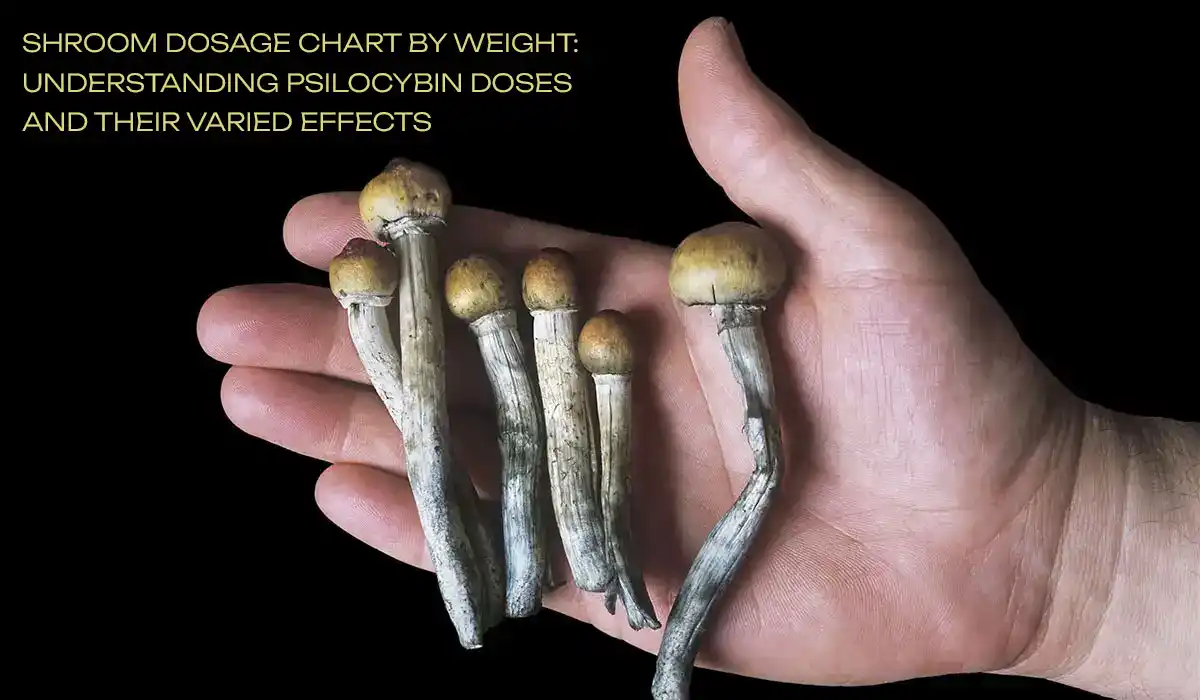 Shroom Dosage Chart By Weight: Understanding Psilocybin Doses and Their Varied Effects