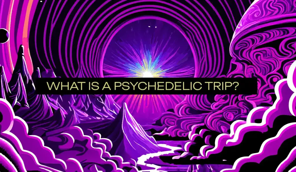 What is a Psychedelic Trip