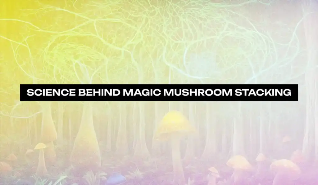 Science behind Magic Mushroom Stacking