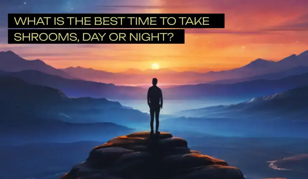 What is the Best Time to Take Shrooms, Day or Night?