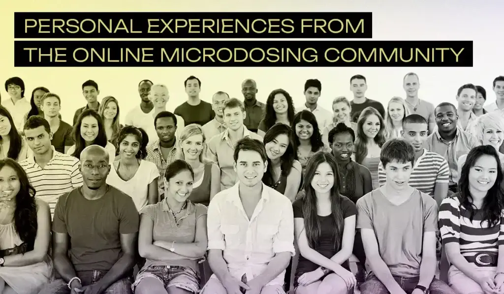 Personal experiences from the online microdosing community