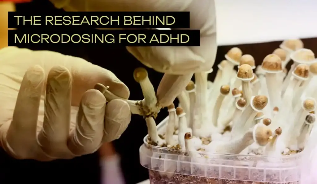 The Research Behind Microdosing for ADHD