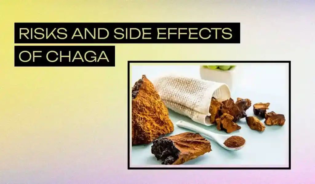 Chaga Mushroom Side Effects