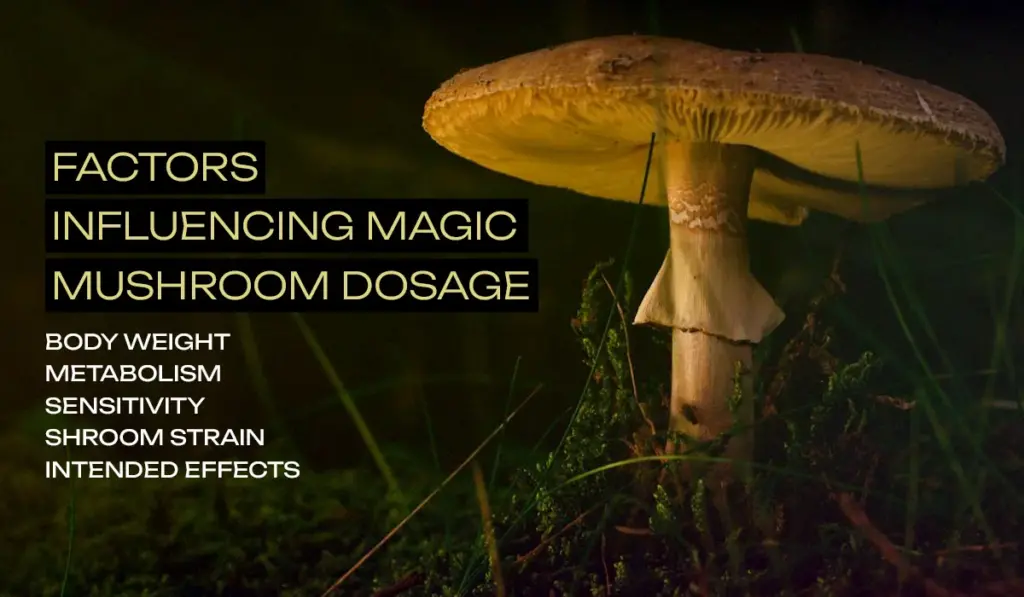 Factors Influencing Magic Mushroom Dosage