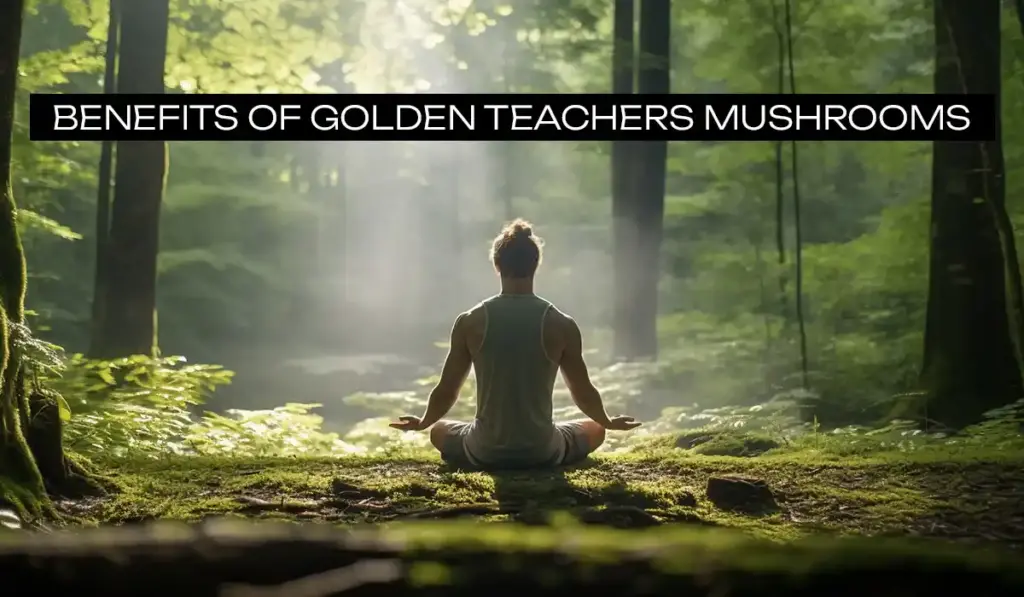 Golden Teacher Mushrooms Benefits