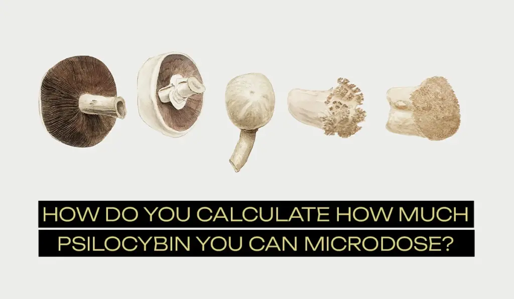 How do you calculate how much psilocybin to microdose?