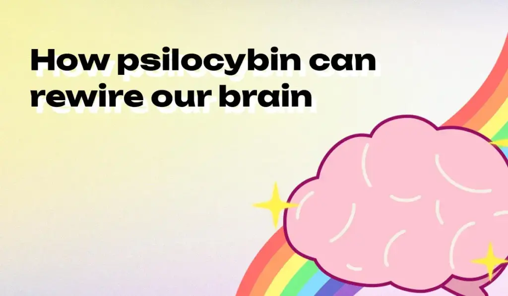 How psilocybin can rewire our brain