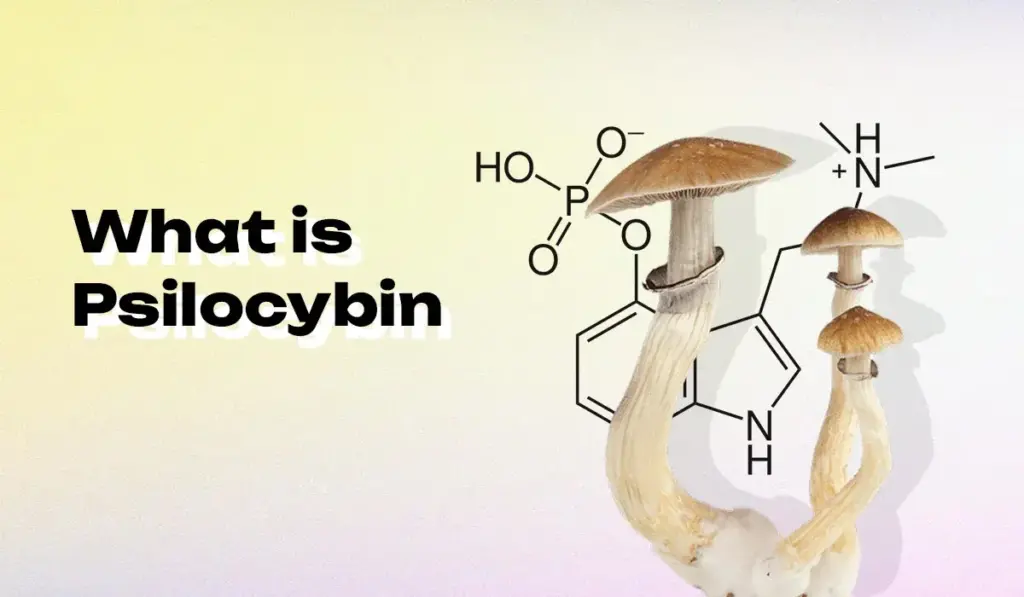 What is Psilocybin?